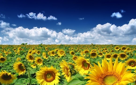 Planning a trip to Ukraine: A quick guide