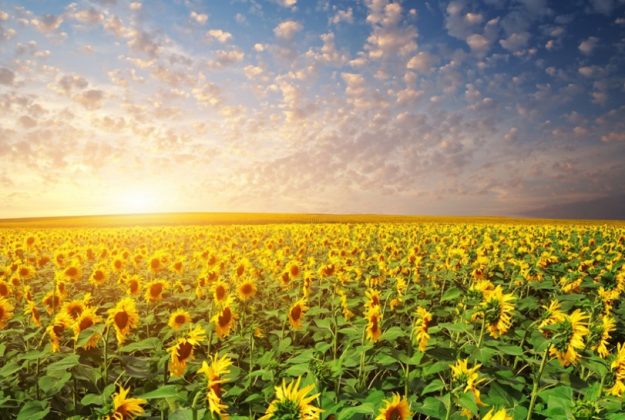 How to plan your first trip to Ukraine?