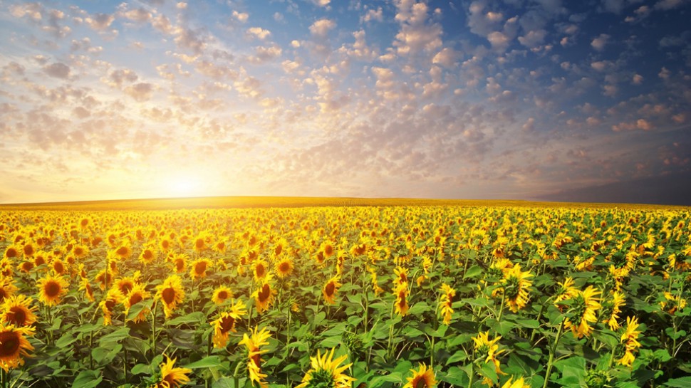 How to plan your first trip to Ukraine?