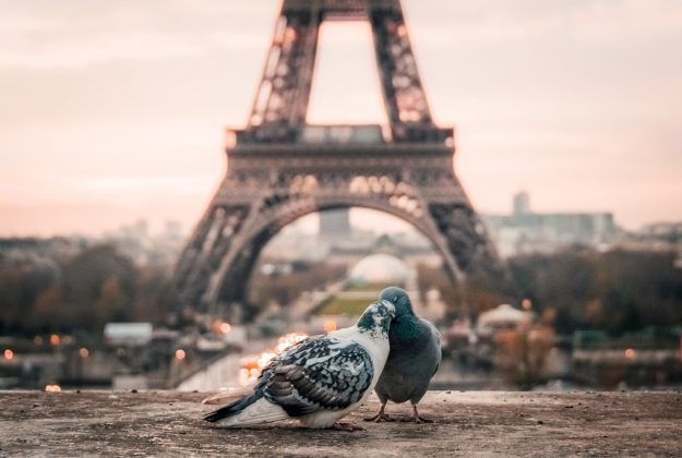 8 Behaviors Women Show When They’re With Their True Love
