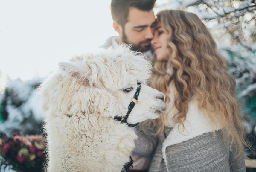 7 Tips How to Have a Good Second Date